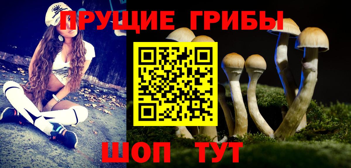 Псилоцибиновые грибы Psilocybine cubensis Щёлково