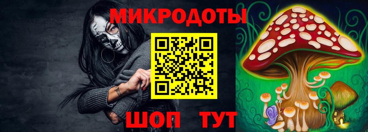 Щёлково  продажа наркотиков  Вход с VPN  Псилоцибиновые грибы прущие грибы 