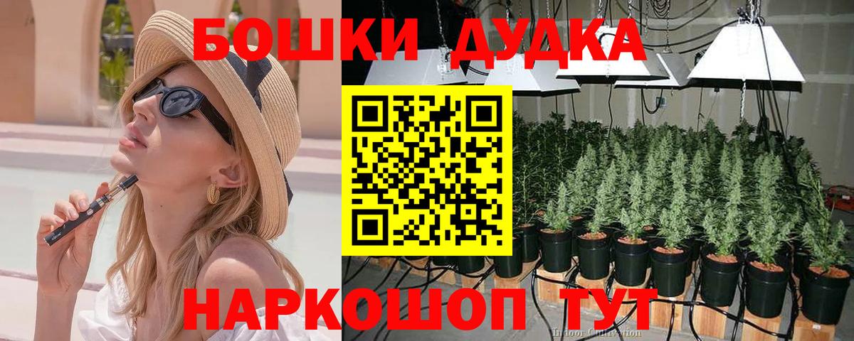 Конопля план Щёлково